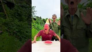 Funny Videos vs Short Clips Which Keeps You Entertained Longer? #funny