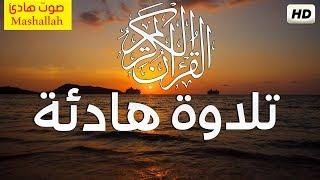 تلاوة هادئة تريح القلب راحة نفسية  القران شفاء الروح  سبحان من رزقه هذا الصوت HD