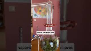 How essential oils are made via steam distillation
