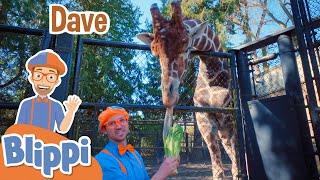 Blippi Feeds Animals At The Zoo! | Learn About Animals For Kids | Educational Videos For Toddlers