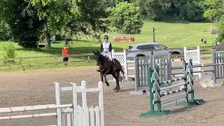 Capi dei Capi (10th Place | Open Preliminary | 2024 River Glen Summer Horse Trials)