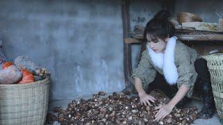 The life of taro…and pepper is today’s treat .丨Liziqi Channel
