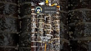 구내식당 회사원 급식 286일차 #korea #foodie #korean #yummy #seoul #mukbang