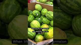 Watermelon  #shopping #vlog #shorts