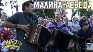 Играй, гармонь! | Григорий Смольянинов (г. Новосибирск) | Малина-лебеда