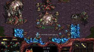 스타크래프트 빅헌터 저그