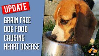 The Dog Food Causing Heart Disease EXPOSED (New Grain Free Update) - Dog Health Vet Advice