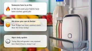 Make Food Last Longer in Fridge: Vitesy Shelfy