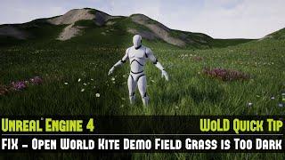 UE4 Quick Tip #12: Fix - Open World Kite Demo Field Grass is Too Dark