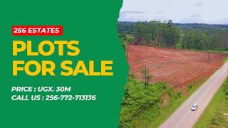 Affordable Land for Sale on Gobero Highway Estate | 256 Estates Uganda