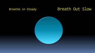 DBT Informed Mindfulness Task - Observe the Breath by Rachel Gill