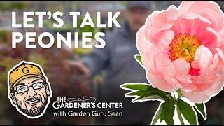 Let's Talk Peonies  🪴 Garden Guru Sean at The Gardener's Center