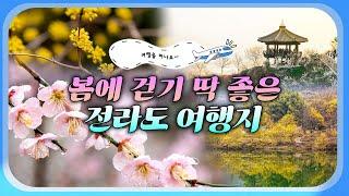 봄맞이 걷기 좋은 여행 #전라도 따뜻한 봄바람과 함께 즐기기 좋은 축제부터 꼭 맛봐야 할 음식과 숨은 명소까지! 놓치면 후회할 봄 여행지 총정리 #걷기좋은길 #코리아둘레길