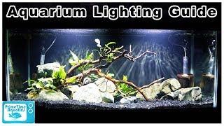 Aquarium Lighting 101: How to Choose The Best Light for Your Aquarium