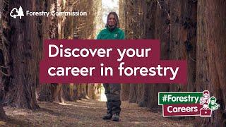 Discover your career in forestry