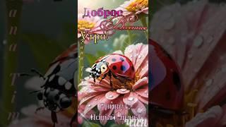Доброго весеннего утра! Привет новый день!