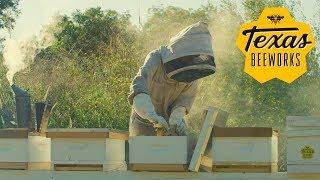 Texas Beeworks Brand Video (Beekeeper)