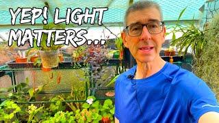 So, the brightness of light really does matter to plants - who knew?