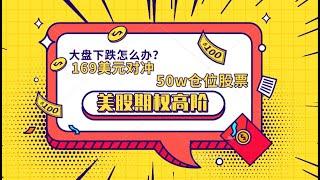 美股期权三 大盘下跌如何赚钱？169美元对冲50w仓位股票，期权交易入门到高阶教程 covered call 策略