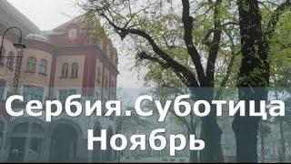 Сербия Суботица Ноябрь.