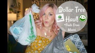 Dollar Tree Haul From a MIAMI Dollar Tree!| NEW Finds| Megan Navarro #dollartreehaul