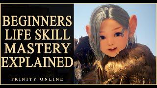 WHAT IS LIFESKILL EXP AND MASTERY beginners guide. Tools Accessories gears Black Desert Online BDO