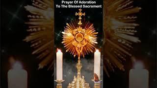 Prayer of Adoration to the Blessed Sacrament