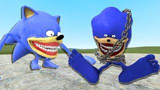 Evolution Of New Shin Baby Sonic Vs Sonic Chain And Others In Garry's Mod!