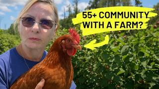 13 Tampa Bay, Florida 55+ Communities