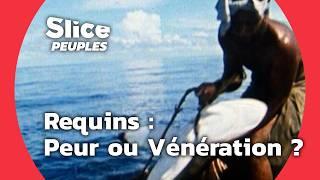 Requins : Monstre ou Dieu ? Voyage à Travers les Mythes | SLICE PEUPLES