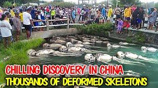 Thousands of Deformed Skeletons Found in Haunting Chinese Burial Ground, Sparking Horror