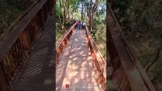 Eleveted Nature Trail Malabar hill