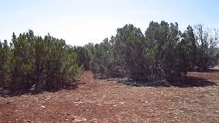 1-Acre near Show Low, AZ! Ready to build