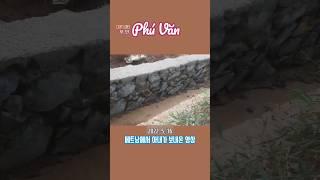 [베트남시골] 골목길 2차선 도로 확장 #베트남 #도로확장 #석축공사