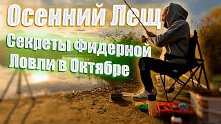 Осенний Лещь! Секреты Фидерной ловли в Октябре!