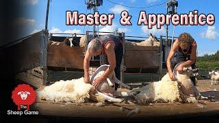 RETIRED SHEEP SHEARER HAS STILL GOT IT!