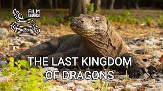 The Last Kingdom of Dragons - film about Komodo by Living Zoology film studio