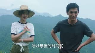 《江山如此多娇》第二十三集 濮泉生上门找沙鸥却被狗咬 A Land So Rich In Beauty EP23