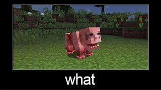 Minecraft wait what meme part 109 (zombie pig)