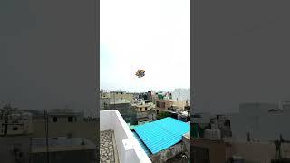 15 August Kite Flying 🪁[Makar Sankranti] #15august #basant #lohri #kiteflying #patangbazi #patang