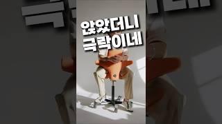 하그 카피스코 자세교정 의자 사무실 공부 회의용 허리편한