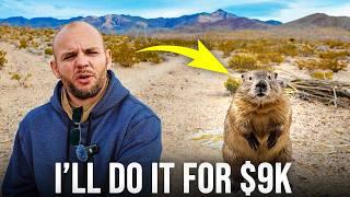 I Won Money To Build Beaver Dams in the Desert