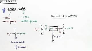 Protein Structure Biochemistry | Hindi | by Snigdha Goswami