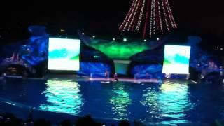 Sea World San Diego, Killer Whales night show