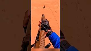 "Охота на кабана: точный выстрел в дикой природе" #охота #pigs #hunting
