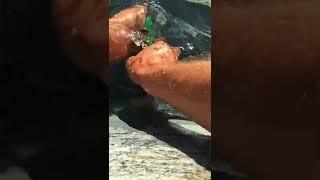 Mark shows us how to remove a stubborn return from a swimming pool at closing Ask the Pool Guy