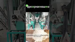 Работа мукомольной машины на производственной линии | Тонкий помол муки