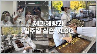 2학기 제과제빵과 개강 실습 브이로그(Vlog) / 대학생 브이로그 / 제과제빵 / Baking Vlog / 우송정보대학 / 제과제빵과