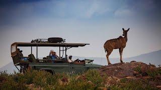 Best safari honeymoon destinations | Luxury honeymoon guide