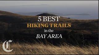 Five Best Hiking Trails in the Bay Area, According to AllTrails Reviews